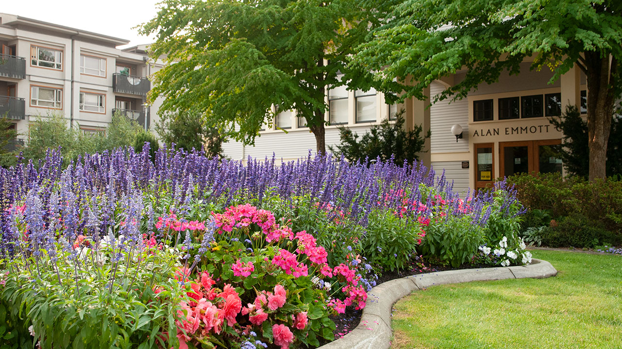 Gardens & Flower Displays City of Burnaby